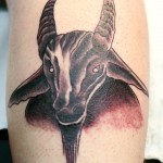 bathory-pukki