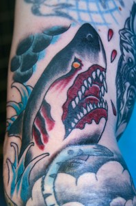 bloodyshark